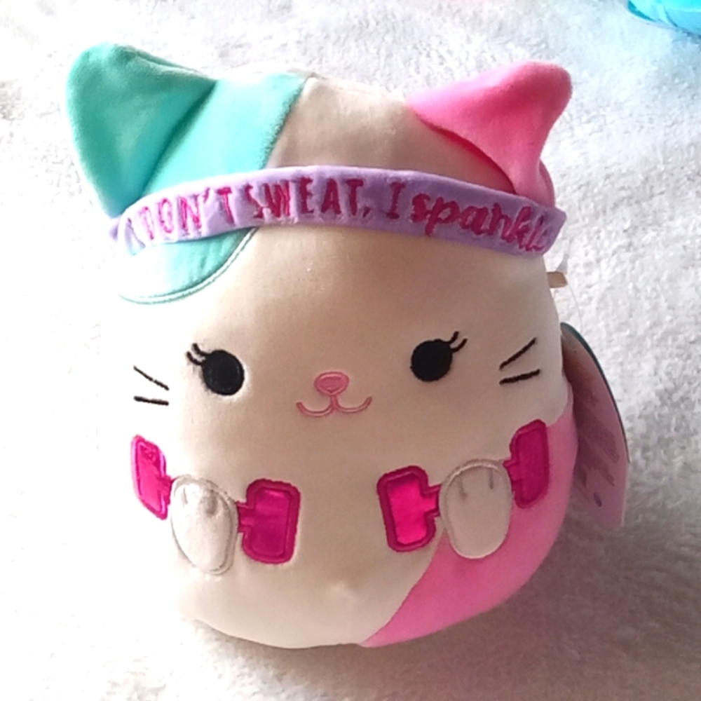 COPY - Squishmallow Caryl The Calico Cat Series 43 Wellness Squad 8 inches